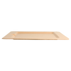 212.72-PIATTI QUADRATI 'BIONIC'  20x20x1 CM NATURALE BAGASSA (50 u.)