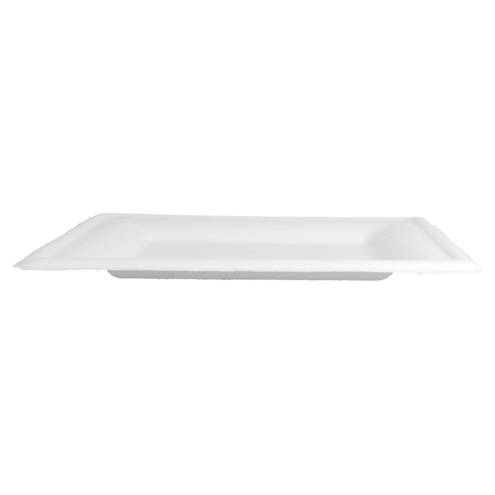 215.92-PIATTI QUADRATI 'BIONIC'  20x20x1,5 CM BIANCO BAGASSA (50 u.)