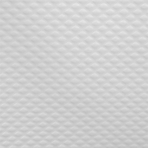 107.01-TOVAGLIA ROTOLO  48 G/M2 1x100 M BIANCO CELLULOSA