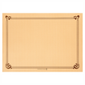 108.09-TOVAGLIETTE  48 G/M2 31x43 CM CARAMELLO CELLULOSA (500 u.)