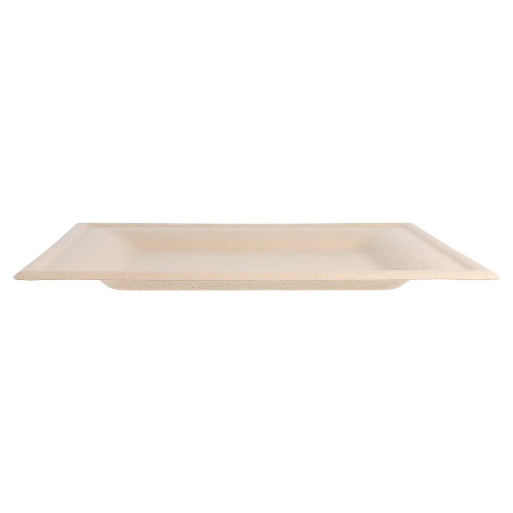 212.69-PIATTI QUADRATI 'BIONIC'  20x20x1 CM NATURALE BAGASSA (50 u.)