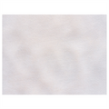 171.04-TOVAGLIETTE 'SPUNBOND'  60 G/M2 30x40 CM BIANCO PP (200 u.)