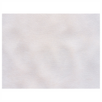 171.04-TOVAGLIETTE 'SPUNBOND'  60 G/M2 30x40 CM BIANCO PP (200 u.)