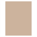 230.78-CARTA ANTIGRASSO FAST FOOD  34 G/M2 28x34 CM NATURALE PERGAMANA ANTIGRASSI (1000 u.)