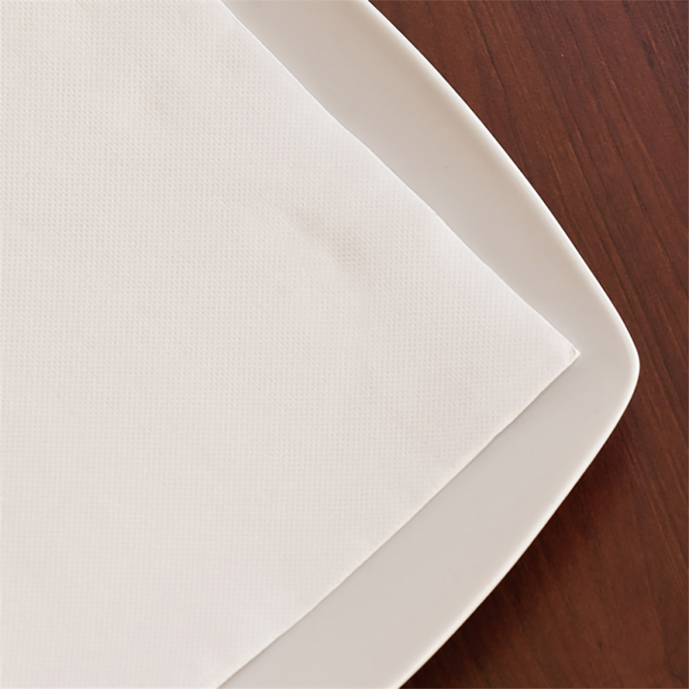 166.31-TOVAGLIOLI ECOLABEL 'DOUBLE POINT' 18 G/M2 33x33 CM BIANCO TISSUE (50 u.)