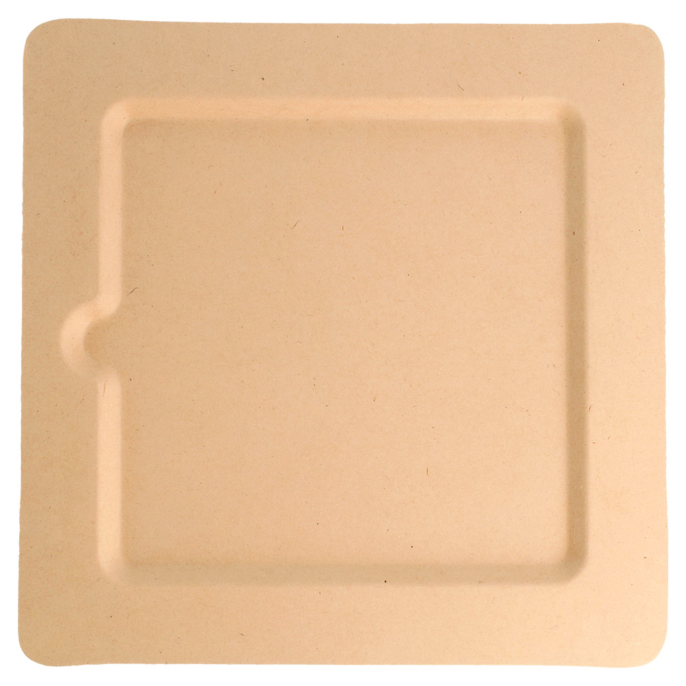 212.72-PIATTI QUADRATI 'BIONIC'  20x20x1 CM NATURALE BAGASSA (50 u.)
