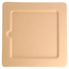 212.72-PIATTI QUADRATI 'BIONIC'  20x20x1 CM NATURALE BAGASSA (50 u.)