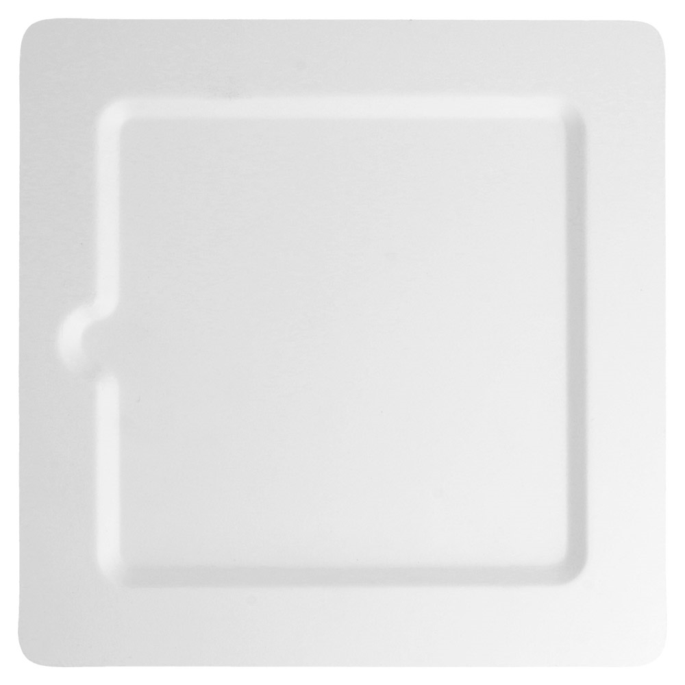 212.73-PIATTI QUADRATI 'BIONIC'  20x20x1 CM BIANCO BAGASSA (50 u.)