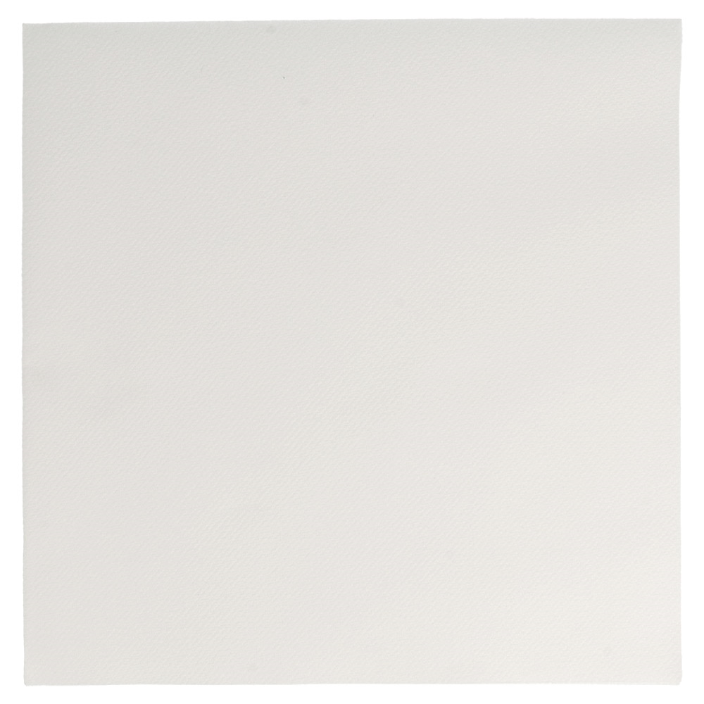178.33-TOVAGLIOLI  55 G/M2 45x45 CM BIANCO AIRLAID (50 u.)
