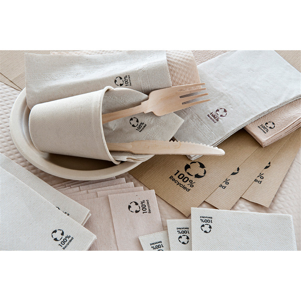 102.68-TOVAGLIOLI ECOLABEL 2 VELI 'FEEL GREEN'  18 G/M2 39x39 CM NATURALE TISSUE RICICLATO (100 u.)