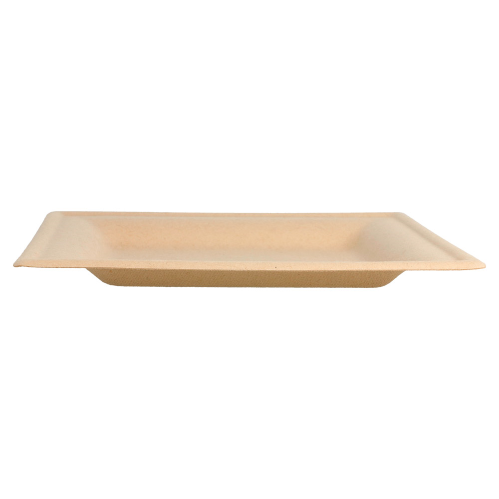 212.68-PIATTI QUADRATI 'BIONIC'  16x16x1 CM NATURALE BAGASSA (50 u.)