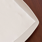 101.32-TOVAGLIOLI ECOLABEL 'DOUBLE POINT' 18 G/M2 39x39 CM BIANCO TISSUE (50 u.)