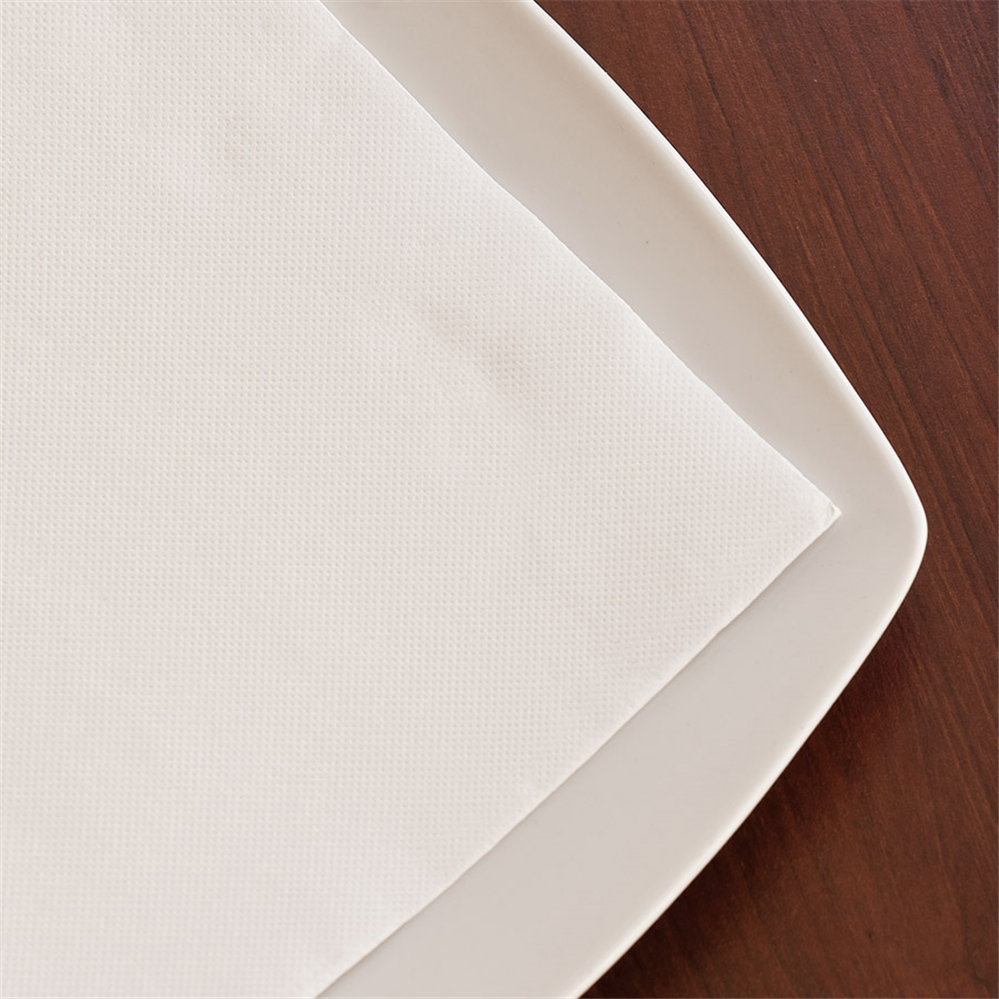 101.32-TOVAGLIOLI ECOLABEL 'DOUBLE POINT' 18 G/M2 39x39 CM BIANCO TISSUE (50 u.)