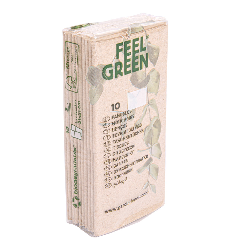 251.09-10 U. x 10 U. FAZZOLETTI 3 VELI 'FEEL GREEN'  21x21 CM NATURALE KRAFT