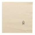 102.67-TOVAGLIOLI ECOLABEL 2 VELI 'FEEL GREEN'  18 G/M2 33x33 CM NATURALE TISSUE RICICLATO (100 u.)