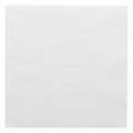 102.13-TOVAGLIOLI 2 VELI  18 G/M2 20x20 CM BIANCO TISSUE (100 u.)