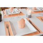 182.08-TOVAGLIOLI DRY COTTON 55 G/M2 40x40 CM MANDARINA AIRLAID (50 u.)