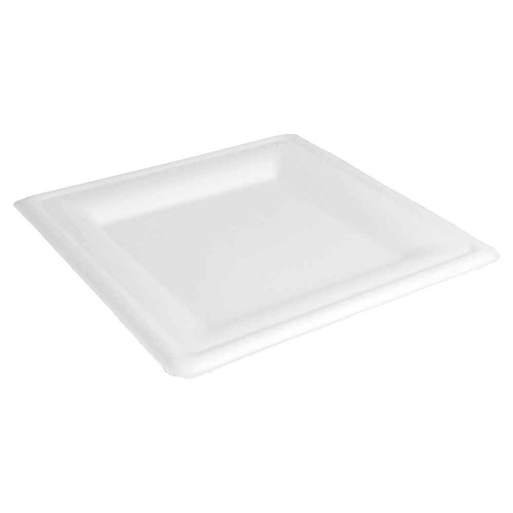 215.92-PIATTI QUADRATI 'BIONIC'  20x20x1,5 CM BIANCO BAGASSA (50 u.)