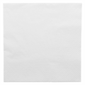 102.21-TOVAGLIOLI ECOLABEL 2 VELI  18 G/M2 39x39 CM BIANCO TISSUE (100 u.)