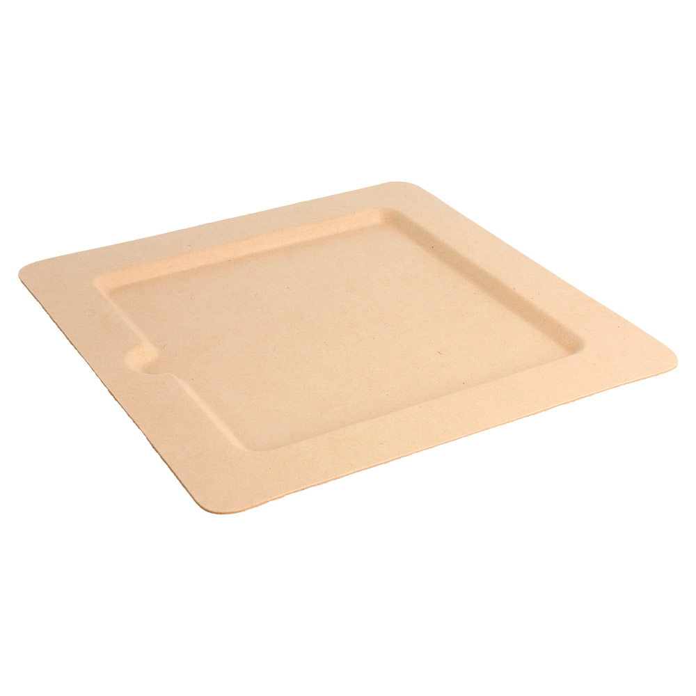 212.72-PIATTI QUADRATI 'BIONIC'  20x20x1 CM NATURALE BAGASSA (50 u.)