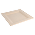 212.69-PIATTI QUADRATI 'BIONIC'  20x20x1 CM NATURALE BAGASSA (50 u.)