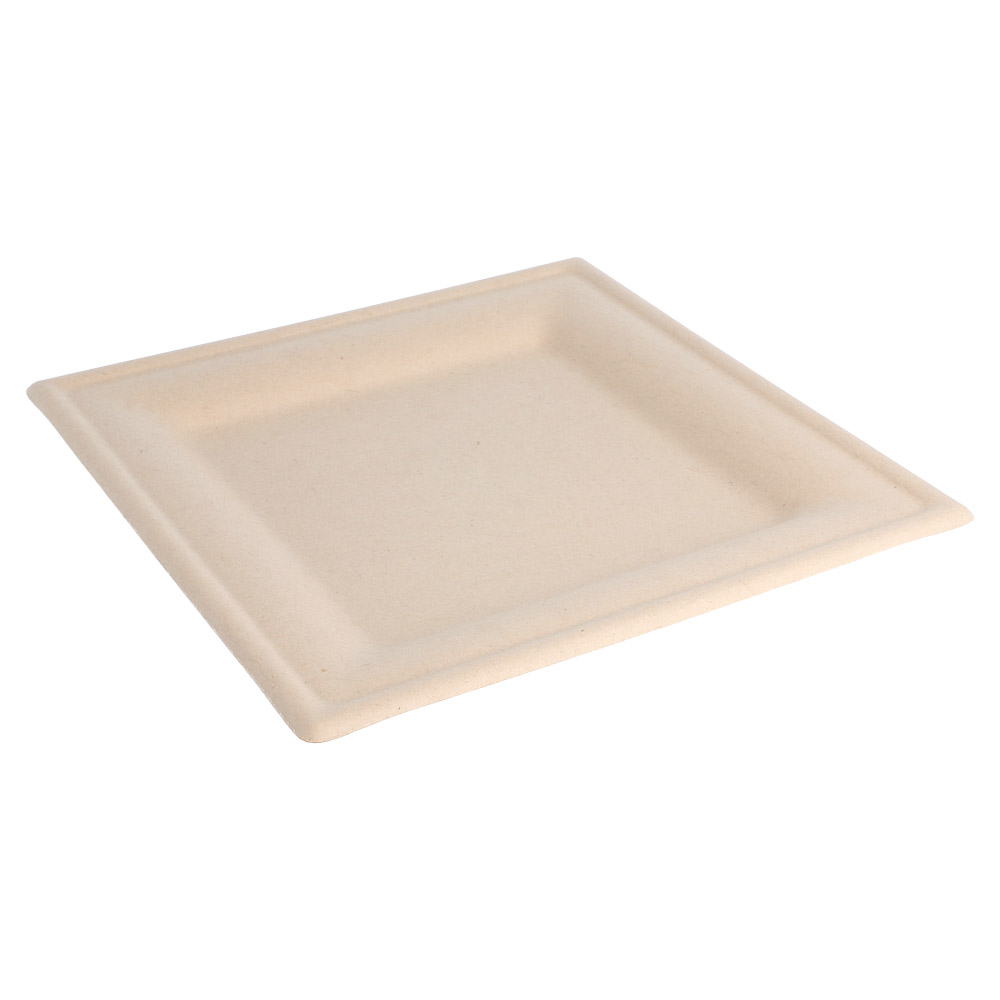 212.69-PIATTI QUADRATI 'BIONIC'  20x20x1 CM NATURALE BAGASSA (50 u.)
