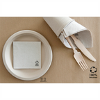 191.09-TOVAGLIOLI ECOLABEL 'DOUBLE POINT'  19 G/M2 20x20 CM NATURALE TISSUE RICICLATO (100 u.)