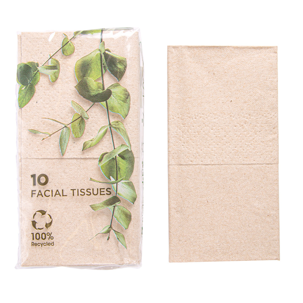 251.09-10 U. x 10 U. FAZZOLETTI 3 VELI 'FEEL GREEN'  21x21 CM NATURALE KRAFT