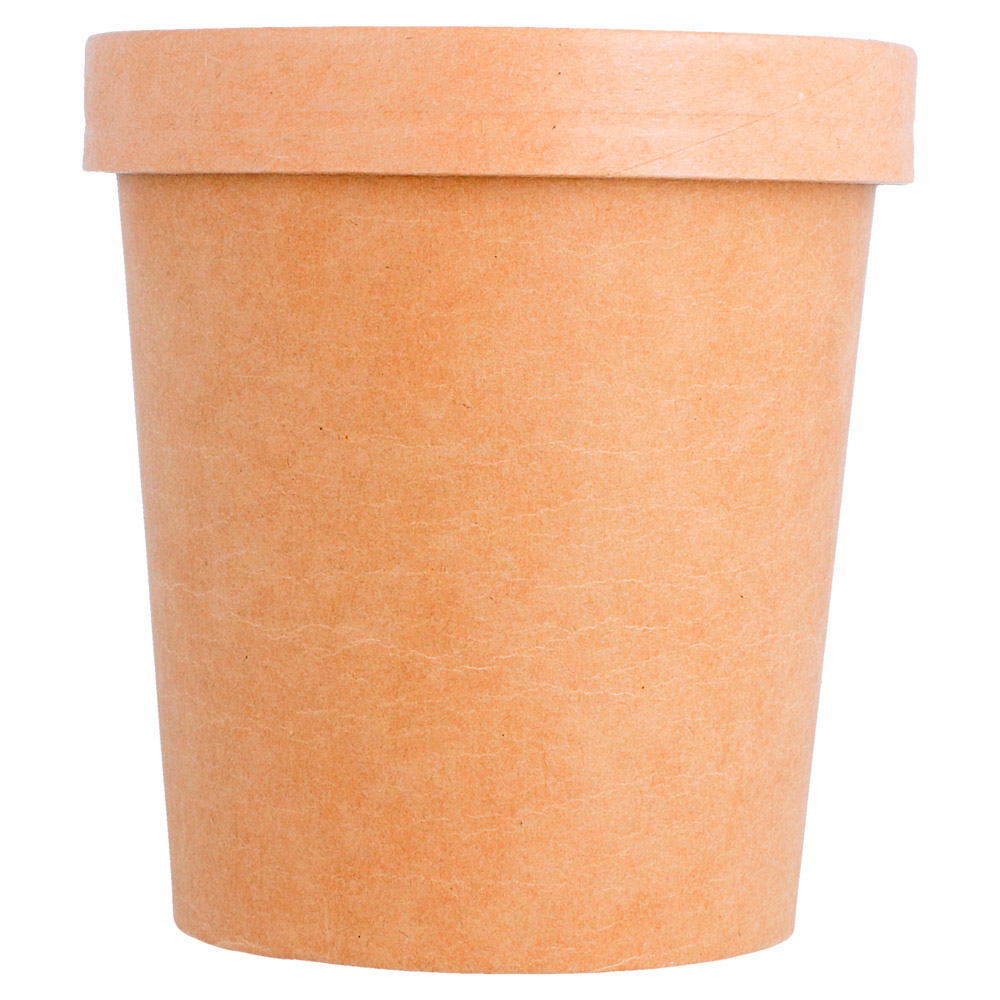 212.60-CONTENITORI CON COPERCHI 480 ML - 16 oz 320 + 18 PE G/M2 Ø 9,8/7,5x10 CM NATURALE KRAFT (25 u.)