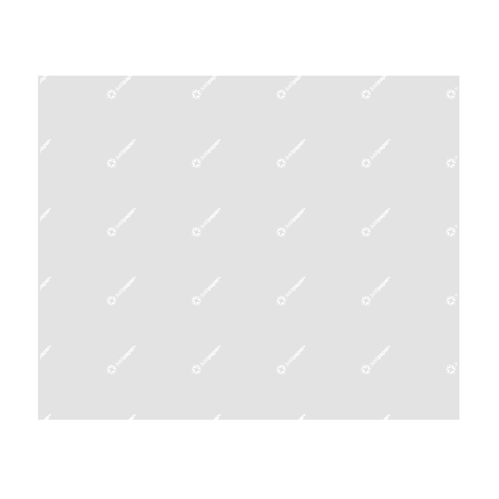 263.96-CARTA ANTIGRASSO 'JUST PAPER-PAS FREE'  30 G/M2 31x38 CM TRASLUCIDO CARTA CRISTALLO (1000 u.)