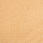 252.66-"TU E IO" PRE. 120CM (20 SER.)  55 G/M2 0,40x24 M NATURALE AIRLAID
